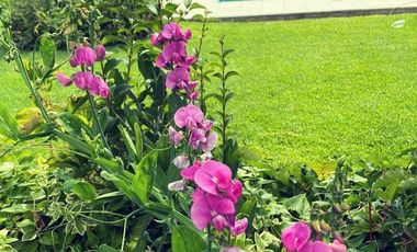 VENTA DE CASA EN Juana Koslay