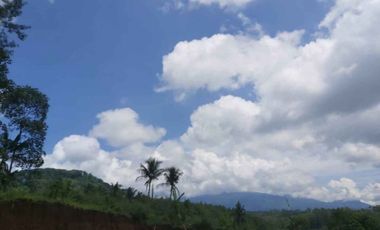 Promo Tanah Kavling Murah di Kasikon Pakisaji Malang