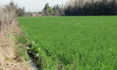 Parcela en Venta en San Jose / Sta Cecilia