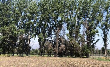 Parcela en Venta en San Jose / Sta Cecilia