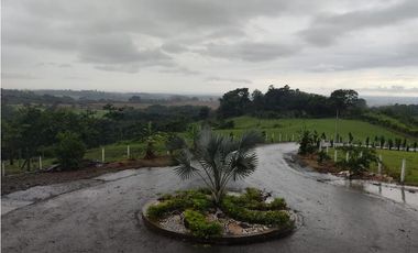 EXCELENTE RANCHO NUEVA GRANADA EN TAPACHULA CHIAPAS.