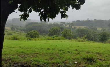 EXCELENTE RANCHO NUEVA GRANADA EN TAPACHULA CHIAPAS.