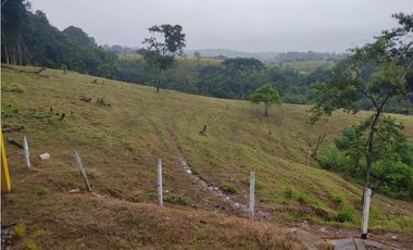 EXCELENTE RANCHO NUEVA GRANADA EN TAPACHULA CHIAPAS.