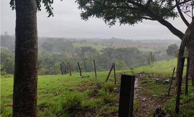 EXCELENTE RANCHO NUEVA GRANADA EN TAPACHULA CHIAPAS.