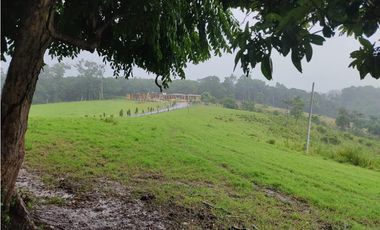 EXCELENTE RANCHO NUEVA GRANADA EN TAPACHULA CHIAPAS.