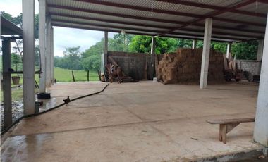 EXCELENTE RANCHO NUEVA GRANADA EN TAPACHULA CHIAPAS.