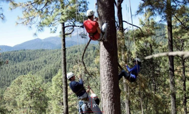 Venta de Terreno en Tlahuapan (Rio Frío)