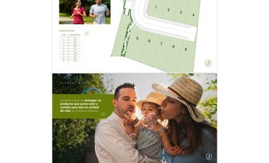 Albrook / Proyecto Casas