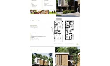 Albrook / Proyecto Casas