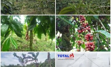 Tanah dijual di Bali, Tabanan