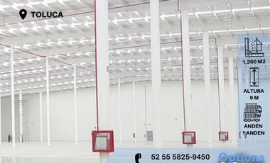 Immediate rent of an industrial warehouse in Toluca