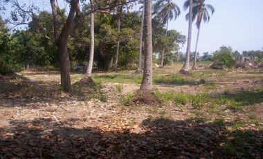 Terreno de 9,000 m² sobre carretera a la altura de tres vidas