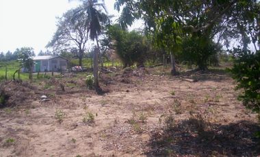 Terreno de 9,000 m² sobre carretera a la altura de tres vidas