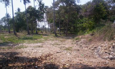 Terreno de 9,000 m² sobre carretera a la altura de tres vidas