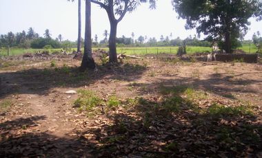 Terreno de 9,000 m² sobre carretera a la altura de tres vidas