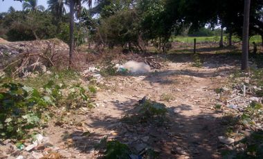 Terreno de 9,000 m² sobre carretera a la altura de tres vidas