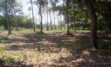 Terreno de 9,000 m² sobre carretera a la altura de tres vidas