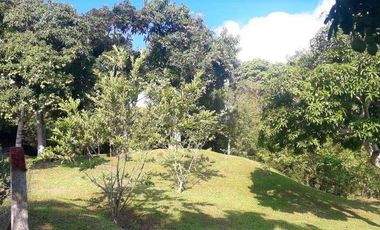 En venta hemosa hacienda de 20.000Mts2 en la vereda san José - Silvania.