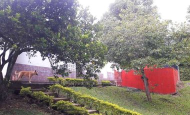 En venta hemosa hacienda de 20.000Mts2 en la vereda san José - Silvania.