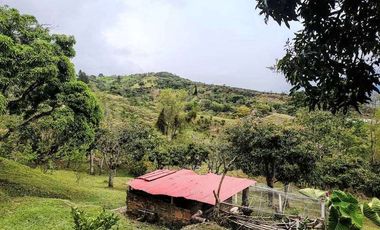 En venta hemosa hacienda de 20.000Mts2 en la vereda san José - Silvania.
