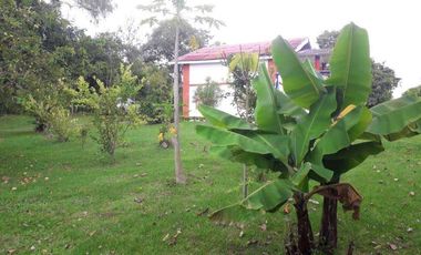 En venta hemosa hacienda de 20.000Mts2 en la vereda san José - Silvania.