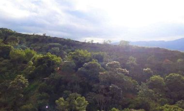 En venta hemosa hacienda de 20.000Mts2 en la vereda san José - Silvania.