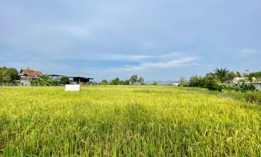 A nice plot of land for sell in Sankhampeang