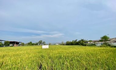 A nice plot of land for sell in Sankhampeang