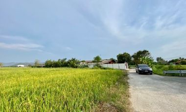 A nice plot of land for sell in Sankhampeang