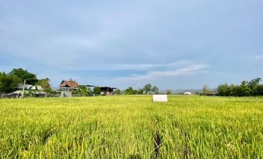 A nice plot of land for sell in Sankhampeang