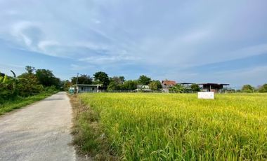 A nice plot of land for sell in Sankhampeang
