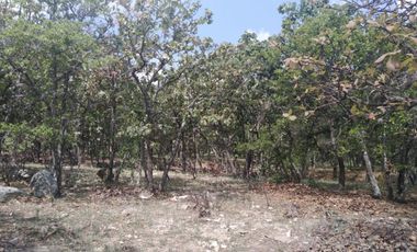 En venta terreno campestre El Milagro