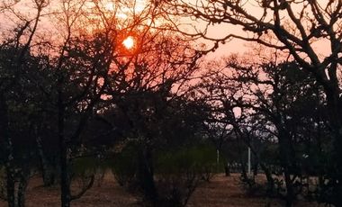 En venta terreno campestre El Milagro