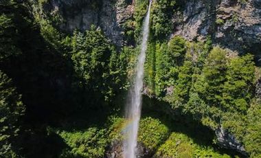 Agrícola en Venta en Molulco - Melipeuco