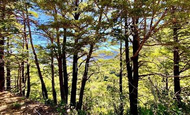 Agrícola en Venta en Molulco - Melipeuco