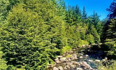 Agrícola en Venta en Molulco - Melipeuco