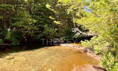 Agrícola en Venta en Molulco - Melipeuco