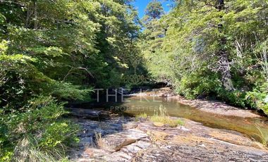 Agrícola en Venta en Molulco - Melipeuco