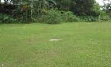 Lot for Sale in Greenmeadows Subdivision, Pasig City