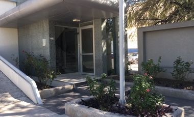 Oficinas en renta distintas opciones Lomas de San Francisco