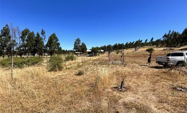 Parcela en Venta en Parcela en Sector San Pedro de Rucapequen