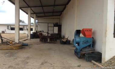 Vendo finca agrícola en Balzar 916.4 hectáreas dotada de sistema de riego de primer orden