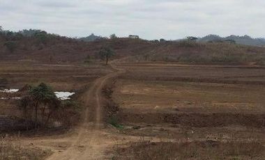 Vendo finca agrícola en Balzar 916.4 hectáreas dotada de sistema de riego de primer orden