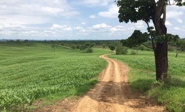 Vendo finca agrícola en Balzar 916.4 hectáreas dotada de sistema de riego de primer orden
