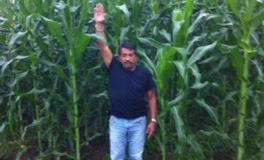 Vendo finca agrícola en Balzar 916.4 hectáreas dotada de sistema de riego de primer orden