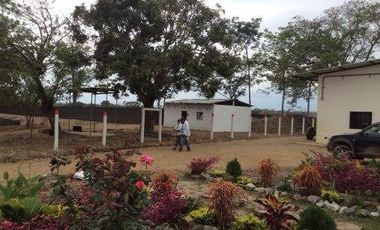 Vendo finca agrícola en Balzar 916.4 hectáreas dotada de sistema de riego de primer orden