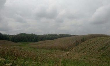 Vendo finca agrícola en Balzar 916.4 hectáreas dotada de sistema de riego de primer orden