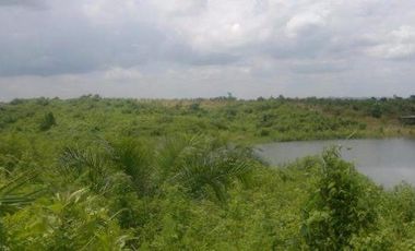 Vendo finca agrícola en Balzar 916.4 hectáreas dotada de sistema de riego de primer orden