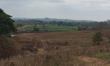Vendo finca agrícola en Balzar 916.4 hectáreas dotada de sistema de riego de primer orden