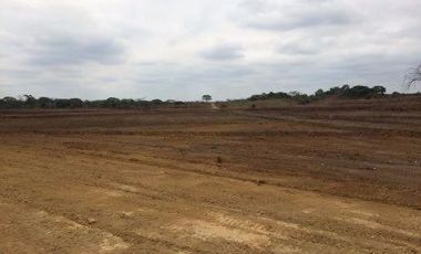 Vendo finca agrícola en Balzar 916.4 hectáreas dotada de sistema de riego de primer orden